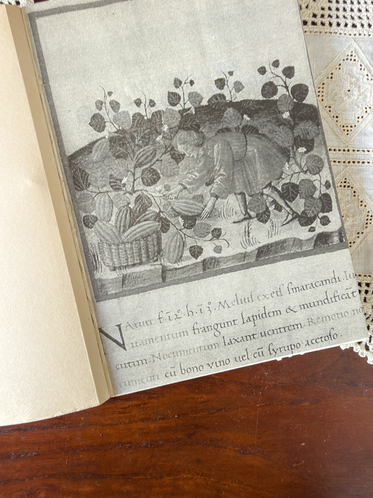 A Arte de Comer em Portugal na Idade Média